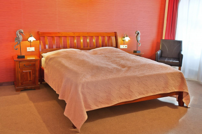Fotografie - Hotel Zlatý Lev Žatec